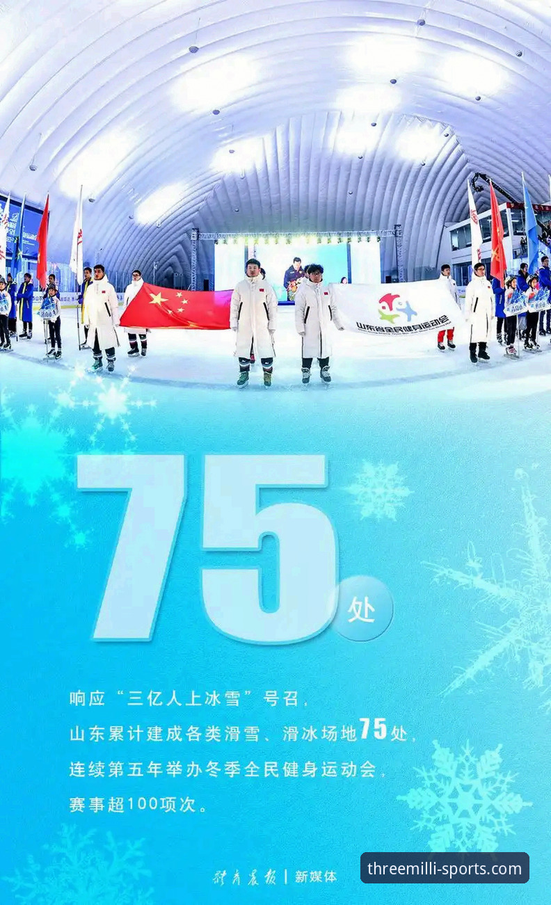 三亿体育平台实用指南：老用户亲测体验与使用技巧分享